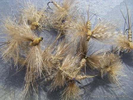 photo-montage-mouche-artzamendi-ephemere-cdc-2012-3.jpg, mar. 2012 photo-montage-mouche-artzamendi-ephemere-cdc-2012-3.jpg