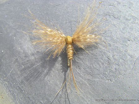 photo-montage-mouche-artzamendi-ephemere-cdc-2012-4.jpg, mar. 2012 photo-montage-mouche-artzamendi-ephemere-cdc-2012-4.jpg