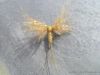 photo-montage-mouche-artzamendi-ephemere-cdc-2012-4.JPG