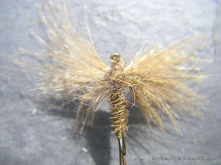 photo-montage-mouche-artzamendi-ephemere-cdc-2012-6.jpg, mar. 2012 photo-montage-mouche-artzamendi-ephemere-cdc-2012-6.jpg