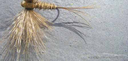 photo-montage-mouche-artzamendi-ephemere-cdc-2012-7.jpg, mar. 2012 photo-montage-mouche-artzamendi-ephemere-cdc-2012-7.jpg