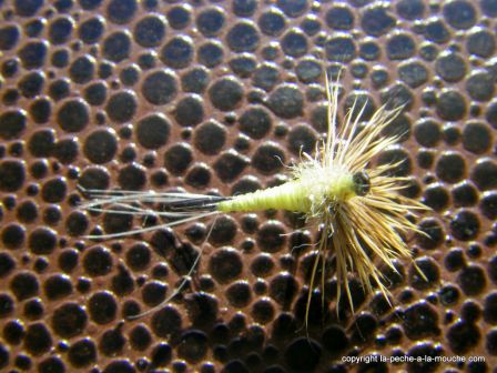photo-montage-mouche-comparadun-pmd-pale-morning-dun-2.jpg, janv. 2012 photo-montage-mouche-comparadun-pmd-pale-morning-dun-2.jpg