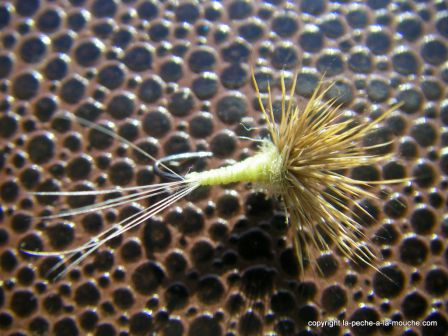 photo-montage-mouche-comparadun-pmd-pale-morning-dun-3.jpg, janv. 2012 photo-montage-mouche-comparadun-pmd-pale-morning-dun-3.jpg