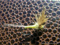 photo montage comparadun PMD