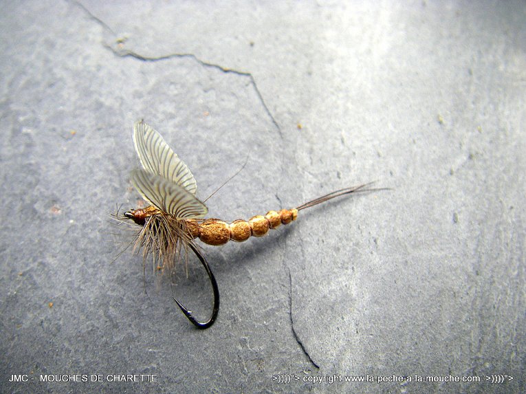 photo-montage-mouche-march-brown-corps-detache-003.jpg