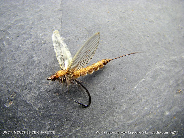 photo-montage-mouche-march-brown-corps-detache-004.jpg