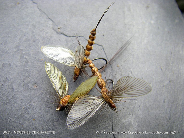 photo-montage-mouche-march-brown-corps-detache-1.jpg, fév. 2014 photo-montage-mouche-march-brown-corps-detache-1.jpg