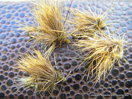 photo-montage-mouche-sedge-juillet2011-1.jpg, juil. 2011 photo-montage-mouche-sedge-juillet2011-1.jpg