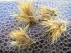  photo-montage-mouche-sedge-juillet2011-1.JPG 