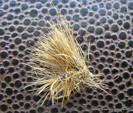 photo-montage-mouche-sedge-juillet2011-2.jpg, juil. 2011 photo-montage-mouche-sedge-juillet2011-2.jpg