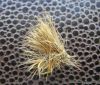  photo-montage-mouche-sedge-juillet2011-2.JPG 