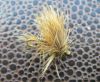  photo-montage-mouche-sedge-juillet2011-3.JPG 