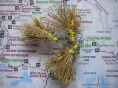 photo montage yellow stimulator