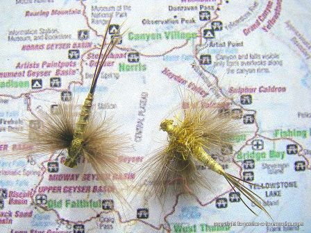 photo-montage-pattern-green-drake-1.jpg, janv. 2012 photo-montage-pattern-green-drake-1.jpg