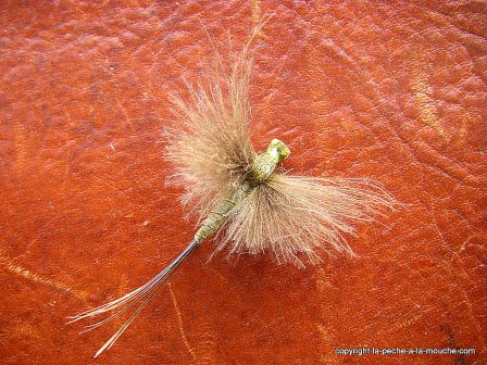 photo-montage-pattern-green-drake-2.jpg, janv. 2012 photo-montage-pattern-green-drake-2.jpg