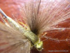 photo montage Green Drake CDC