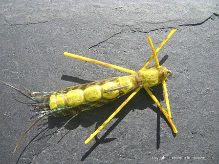 photo-montage-plecoptere-pattern-golden-rogue-stonefly-foam-3.jpg, fév. 2012 photo-montage-plecoptere-pattern-golden-rogue-stonefly-foam-3.jpg