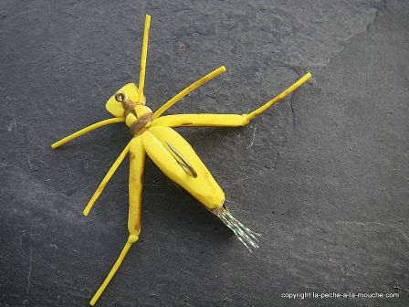 photo-montage-sauterelle-evolution-fred-hopper-pattern-foam-hopper-8.jpg, fév. 2012 photo-montage-sauterelle-evolution-fred-hopper-pattern-foam-hopper-8.jpg