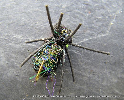 photo-montage-scarabe-mousse-beetlemousse-002.jpg, juil. 2012 photo-montage-scarabe-mousse-beetlemousse-002.jpg