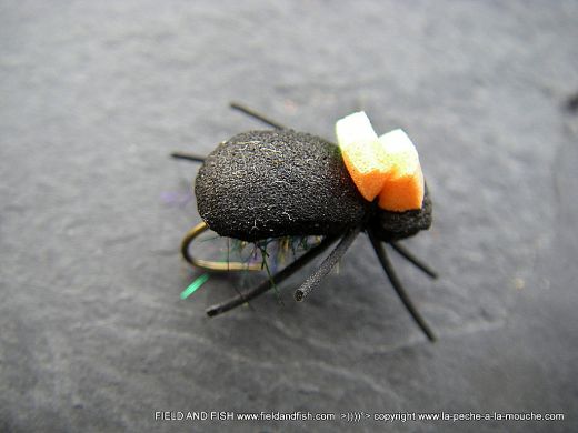 photo-montage-scarabe-mousse-beetlemousse-003.jpg, juil. 2012 photo-montage-scarabe-mousse-beetlemousse-003.jpg