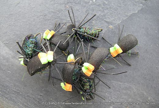 photo-montage-scarabe-mousse-beetlemousse-1.jpg, juil. 2012 photo-montage-scarabe-mousse-beetlemousse-1.jpg