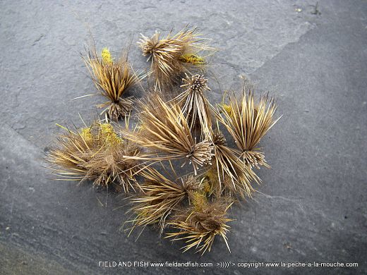 photo-montage-sedge-caddis-emergent-cdc-elk-002.jpg, avr. 2012 photo-montage-sedge-caddis-emergent-cdc-elk-002.jpg