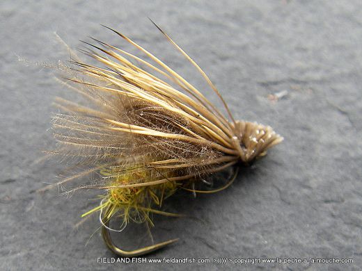 photo-montage-sedge-caddis-emergent-cdc-elk-7.jpg, avr. 2012 photo-montage-sedge-caddis-emergent-cdc-elk-7.jpg