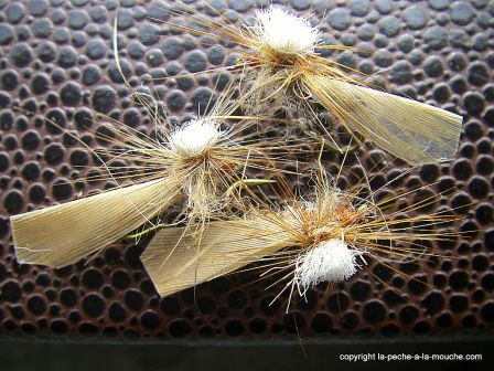 photo-montage-sedge-cannelle-cinnamon-caddis-3.jpg, janv. 2012 photo-montage-sedge-cannelle-cinnamon-caddis-3.jpg