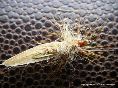 photo-montage-sedge-cannelle-cinnamon-caddis-5.jpg, janv. 2012 photo-montage-sedge-cannelle-cinnamon-caddis-5.jpg