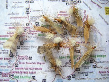 photo-montage-sedge-cannelle-cinnamon-caddis-7.jpg, janv. 2012 photo-montage-sedge-cannelle-cinnamon-caddis-7.jpg