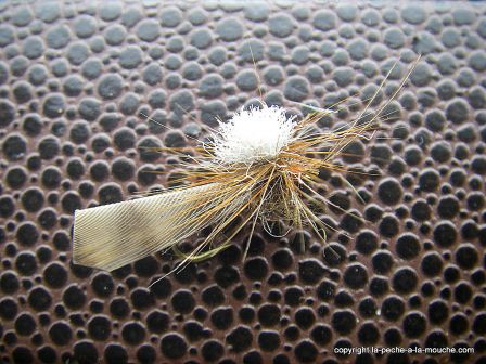 photo-montage-sedge-cannelle-cinnamon-caddis-8.jpg, janv. 2012 photo-montage-sedge-cannelle-cinnamon-caddis-8.jpg