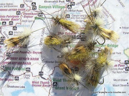 photo-montage-sedge-lawson-caddis-1.jpg, janv. 2012 photo-montage-sedge-lawson-caddis-1.jpg