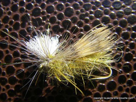 photo-montage-sedge-lawson-caddis-3.jpg, janv. 2012 photo-montage-sedge-lawson-caddis-3.jpg