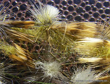 photo-montage-sedge-lawson-caddis-6.jpg, janv. 2012 photo-montage-sedge-lawson-caddis-6.jpg