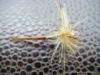  photo-mouche-ephemere-montage-avance-juillet2011 