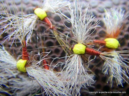 photo-mouche-rusty-spinner-spent-rouge-2.jpg, janv. 2012 photo-mouche-rusty-spinner-spent-rouge-2.jpg