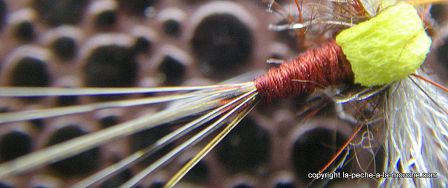 photo-mouche-rusty-spinner-spent-rouge-3.JPG