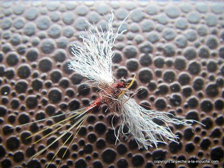photo-mouche-rusty-spinner-spent-rouge-4.JPG