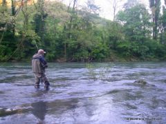 Michel, pecheur a la mouche en action sur la Grande Nive au Pays Basque, mai 2010