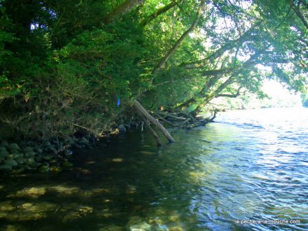 Photos des berges du gave d'Oloron