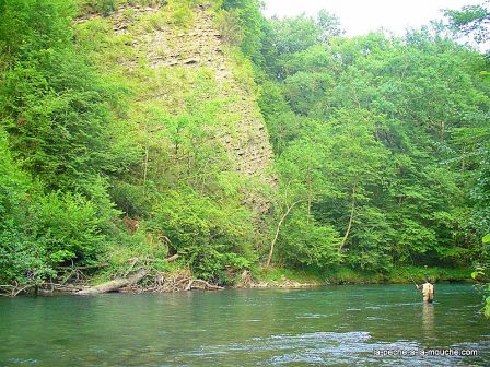 Photo du gave d'Ossau dans le bois de bager - Béarn aout 2010