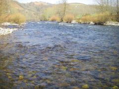RAdier sur la Grande Nive au Pays Basque