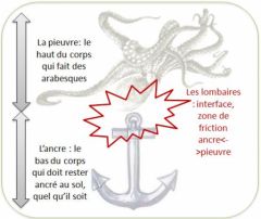 traumatologie-peche-a-la-mouche.jpg, août 2010 traumatologie-peche-a-la-mouche.jpg