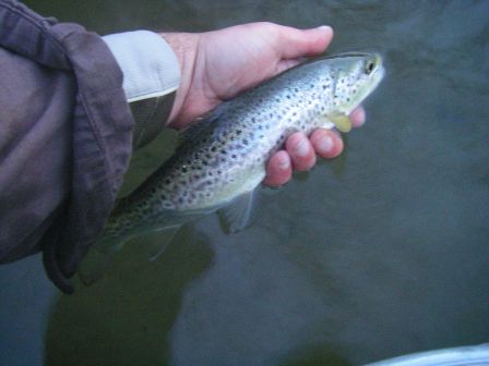 La pêche sur seligere retirer le logement