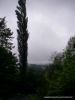  photo-grande-nive-pays-basque-24juillet2011-2.JPG 