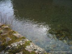 La Nive des Aldudes au Pays Basque - 3 jours avant l'ouverture 2011