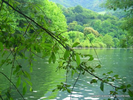 photo-parties-peche-a-la-mouche-mi-juin2011-11.jpg, juin 2011 photo-parties-peche-a-la-mouche-mi-juin2011-11.jpg