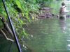  photo-parties-peche-a-la-mouche-mi-juin2011-9.JPG 