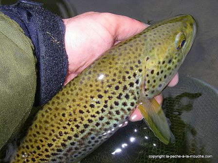 photo-peche-a-la-mouche-03avril2011-7.jpg, avr. 2011 photo-peche-a-la-mouche-03avril2011-7.jpg