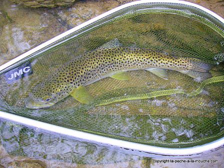 photo-peche-a-la-mouche-03avril2011-9.jpg, avr. 2011 photo-peche-a-la-mouche-03avril2011-9.jpg